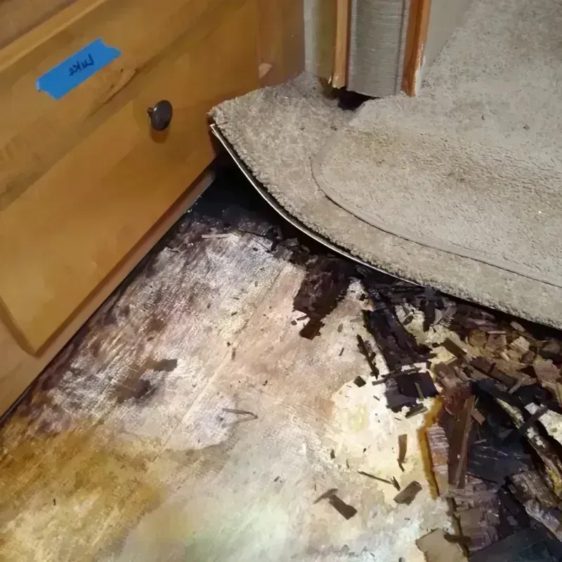 Wood Floor Water Damage in Cedaredge, CO